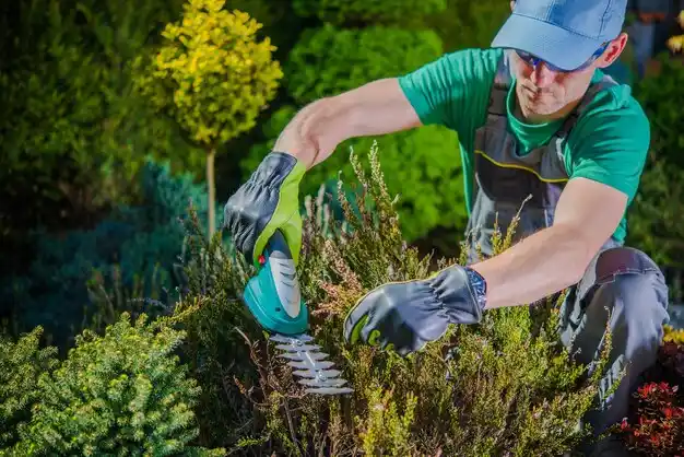landscaping services Montebello